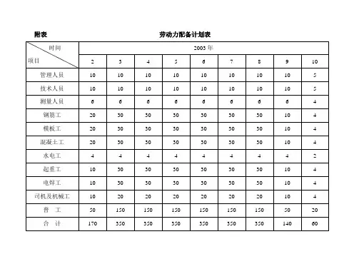 劳动力配备计划表