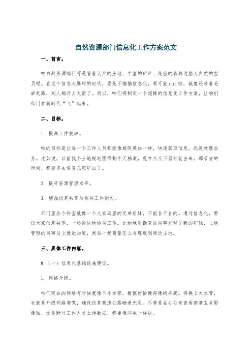 自然资源部门信息化工作方案范文