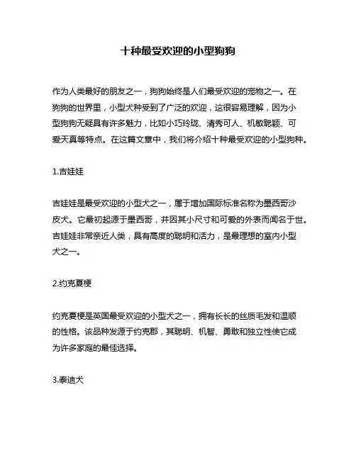 十种最受欢迎的小型狗狗