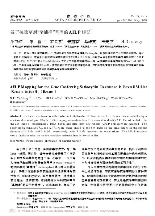 谷子抗除草剂“拿捕净”基因的AFLP标记