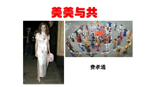 《美美与共》优质课件