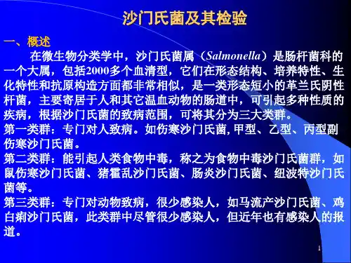 沙门氏菌检验