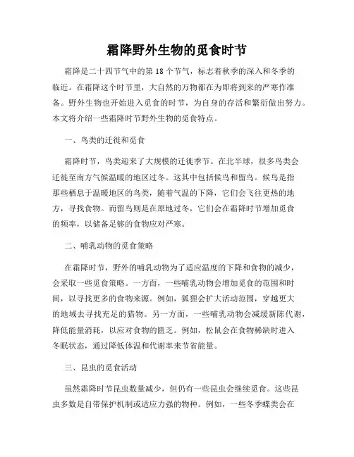 霜降野外生物的觅食时节