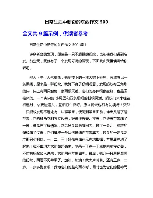日常生活中新奇的东西作文500