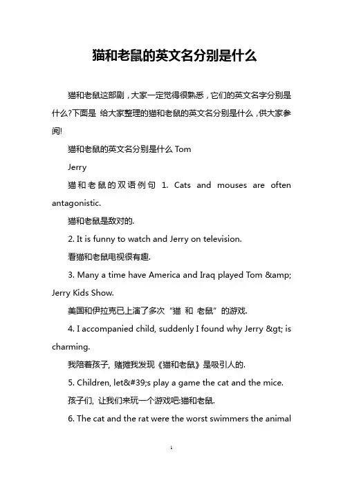 猫和老鼠的英文名分别是什么