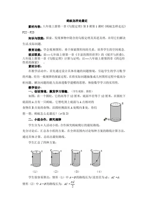蚂蚁怎么走最近