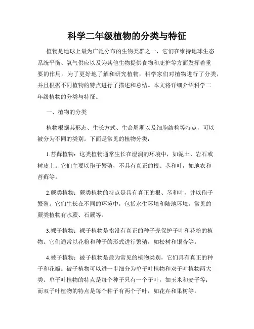 科学二年级植物的分类与特征