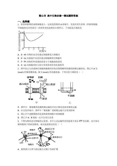 鞍山市 高中生物必修一测试题附答案