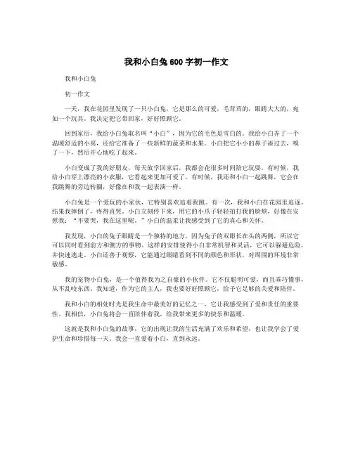 我和小白兔600字初一作文