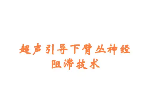 超声引导下臂丛神经阻滞技术