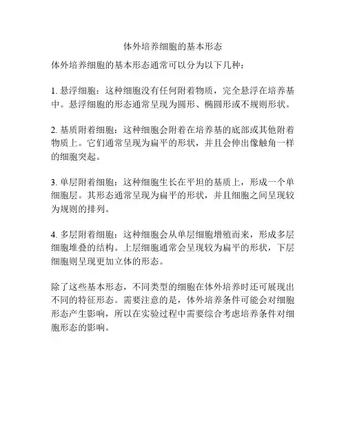 体外培养细胞的基本形态