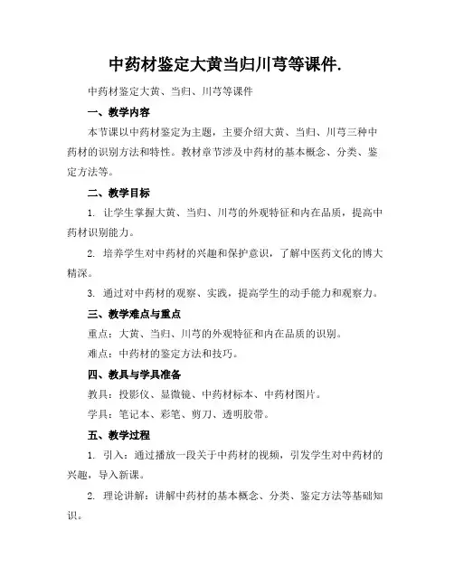 中药材鉴定大黄当归川芎等课件.