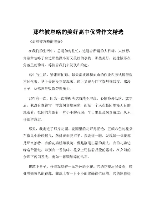 那些被忽略的美好高中优秀作文精选