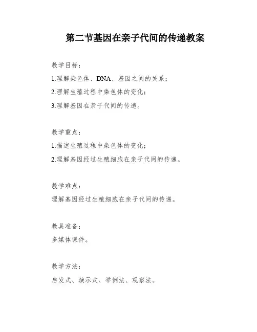 第二节基因在亲子代间的传递教案