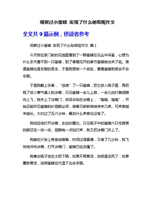 观察过小蜜蜂 发现了什么秘密呢作文