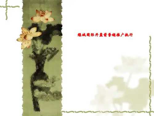 绿城国际开盘前营销推广执行