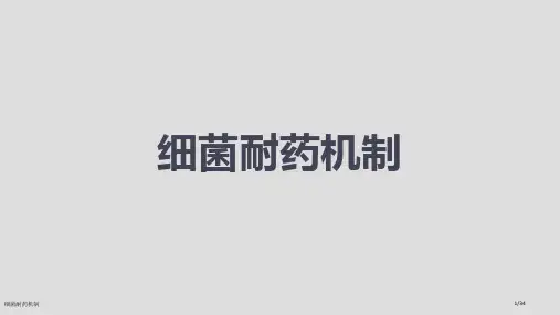 细菌耐药机制