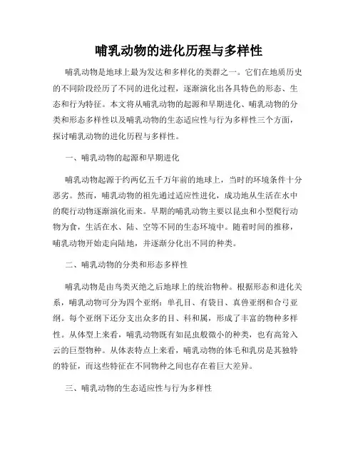 哺乳动物的进化历程与多样性