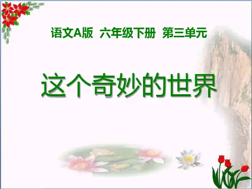 《这个奇妙的世界》2精品 课件 