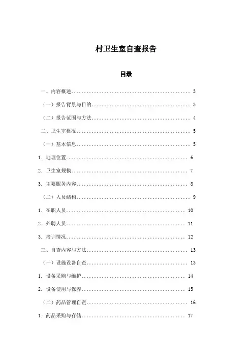 村卫生室自查报告