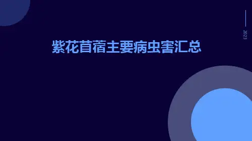 紫花苜蓿主要病虫害汇总