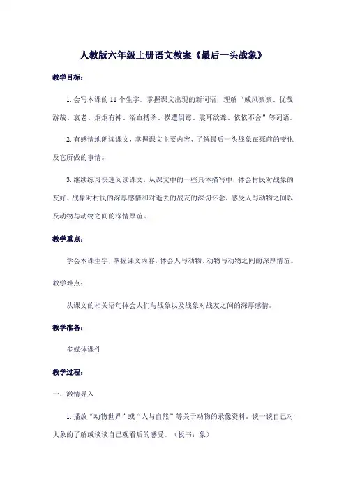 人教版六年级上册语文教案《最后一头战象》