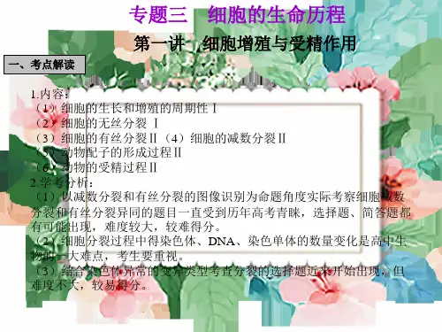 2021年高考生物二轮复习-专题三-细胞的生命历程2专项模拟讲义总复习