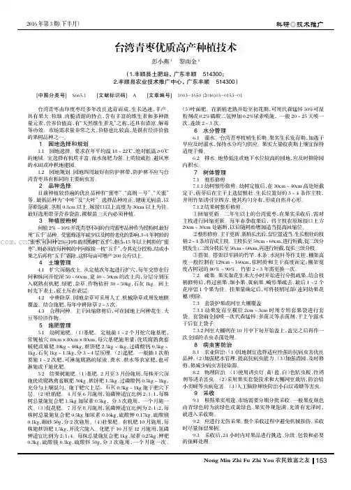 台湾青枣优质高产种植技术