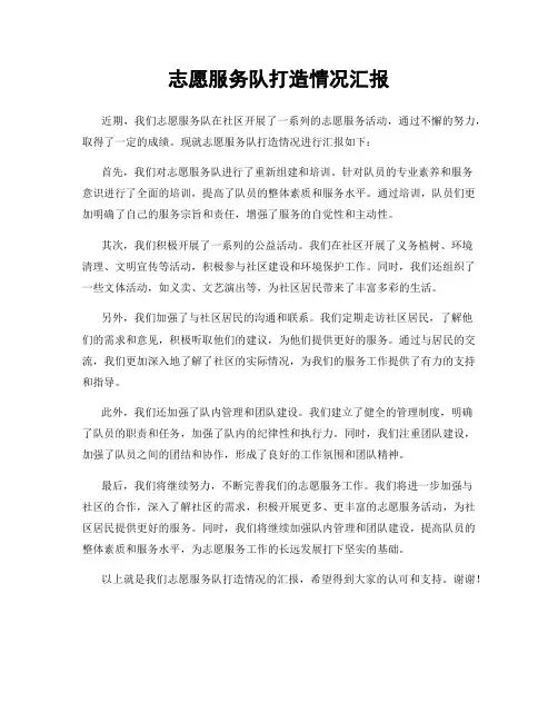 志愿服务队打造情况汇报
