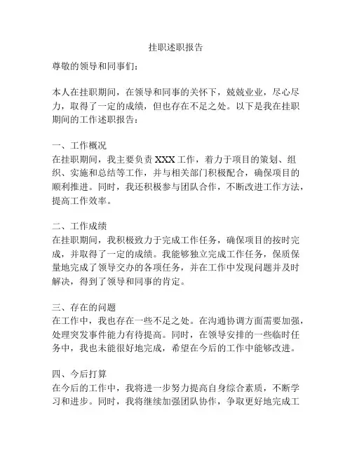 挂职述职报告