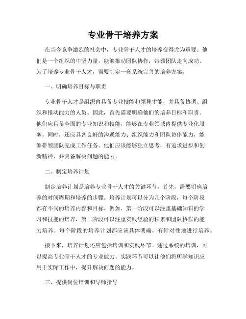 专业骨干培养方案