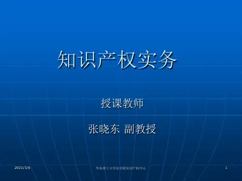 知识产权实务-讲义打印稿资料