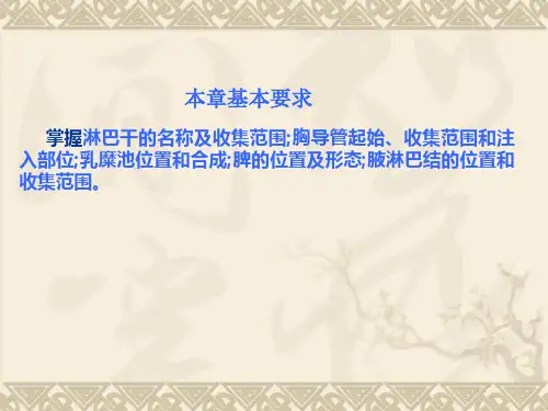 淋巴系统概述ppt课件