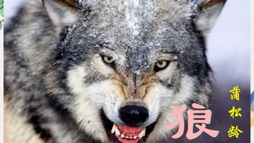 人教版七年级(上册)语文 20、《狼》PPT课件