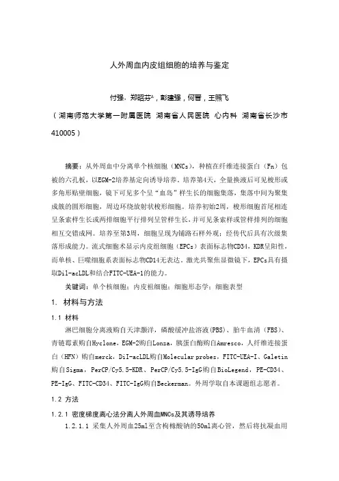 人外周血内皮组细胞的培养与鉴定