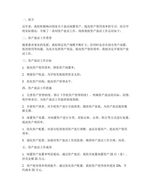 学校资产盘活总结范文模板