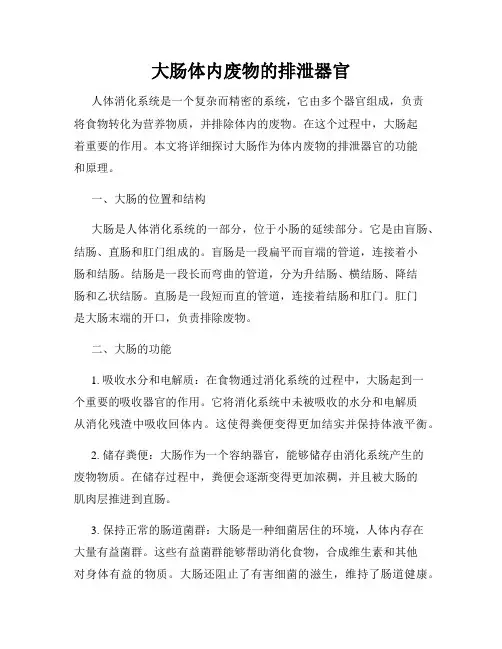 大肠体内废物的排泄器官