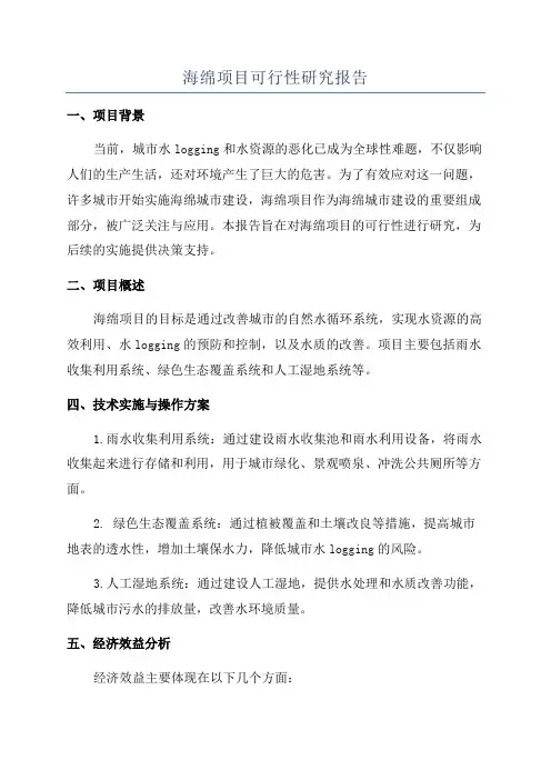 海绵项目可行性研究报告