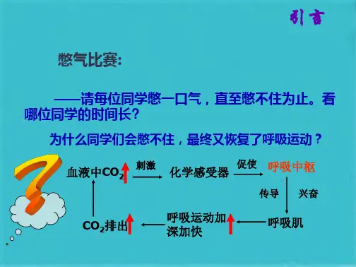 第二节  一   体液调节(共39张PPT)