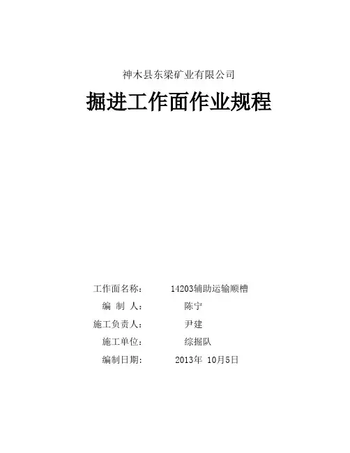 14204辅助运输巷规程