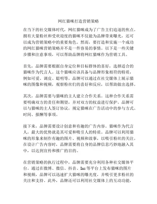 网红猫咪打造营销策略