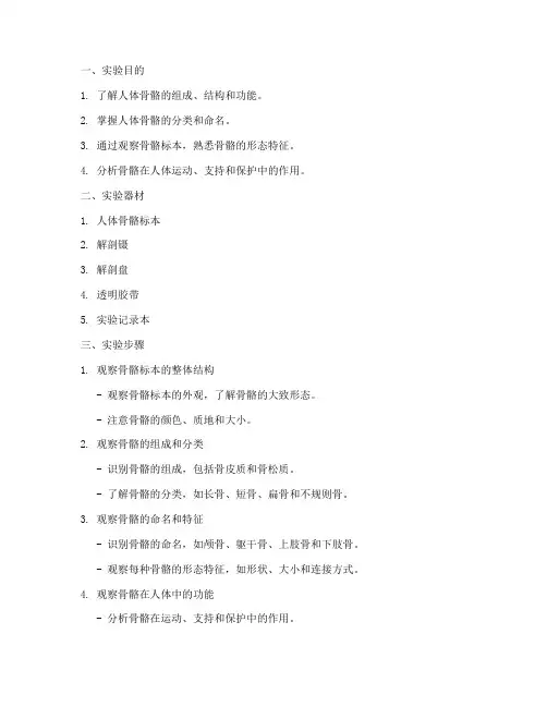 全身骨骼的实验报告