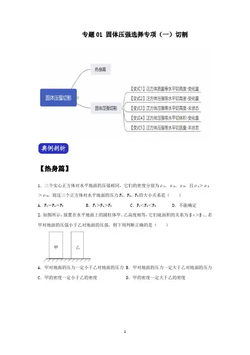 2022年上海中考固体压强选择专项(一)切割