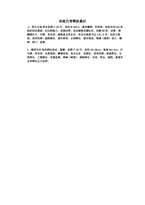 地栽月季哪款最好