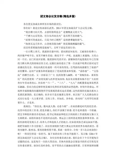 团支部会议发言稿