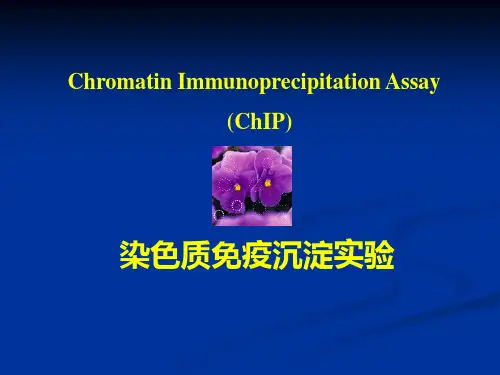 CHIP染色质免疫共沉淀实验方法简介