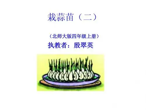 四年级上册数学栽蒜苗(二)课件ppt