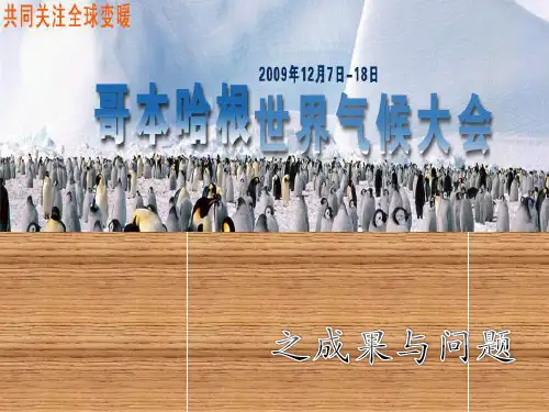 哥本哈根气候峰会成果及问题