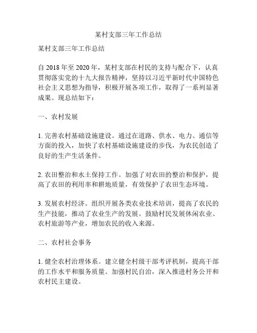 某村支部三年工作总结