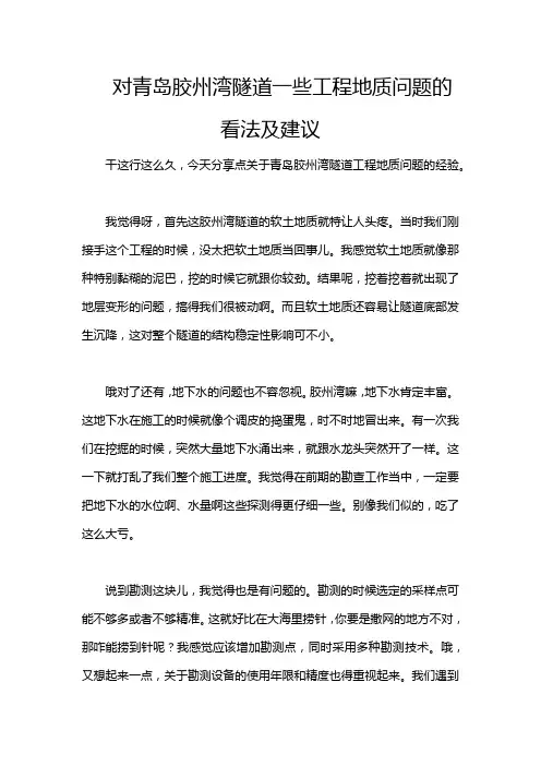 对青岛胶州湾隧道一些工程地质问题的看法及建议